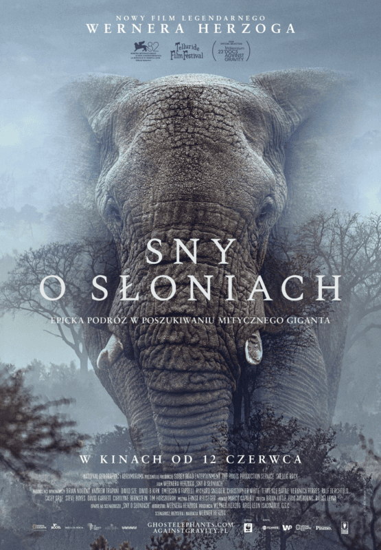 Sny o słoniach